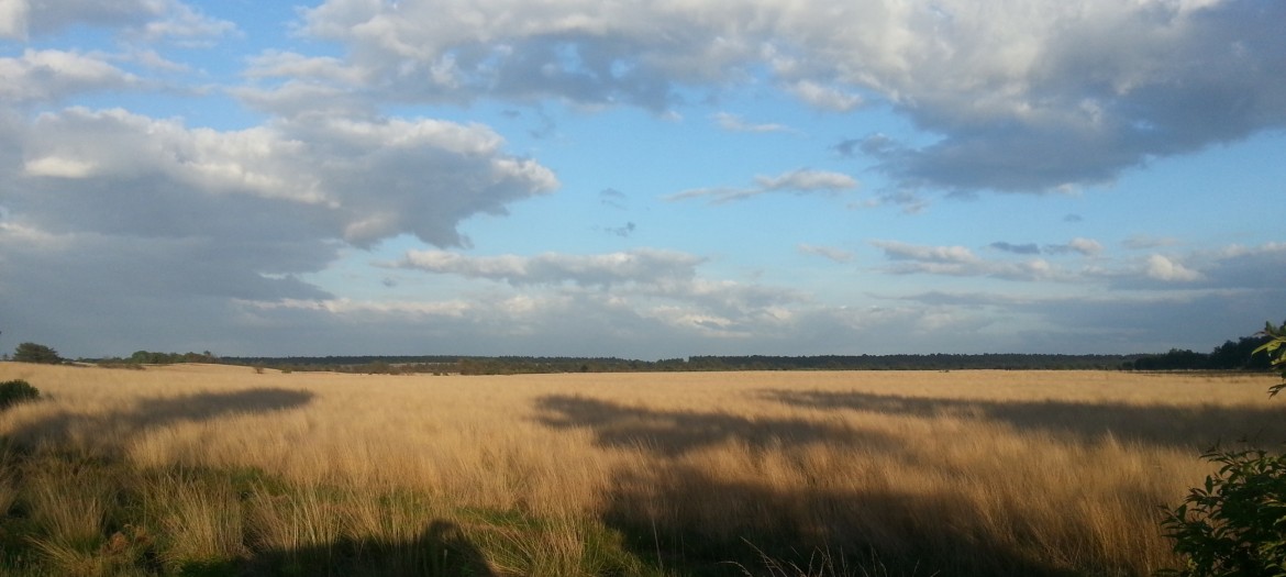 Camping De Wapenberg — photo 8